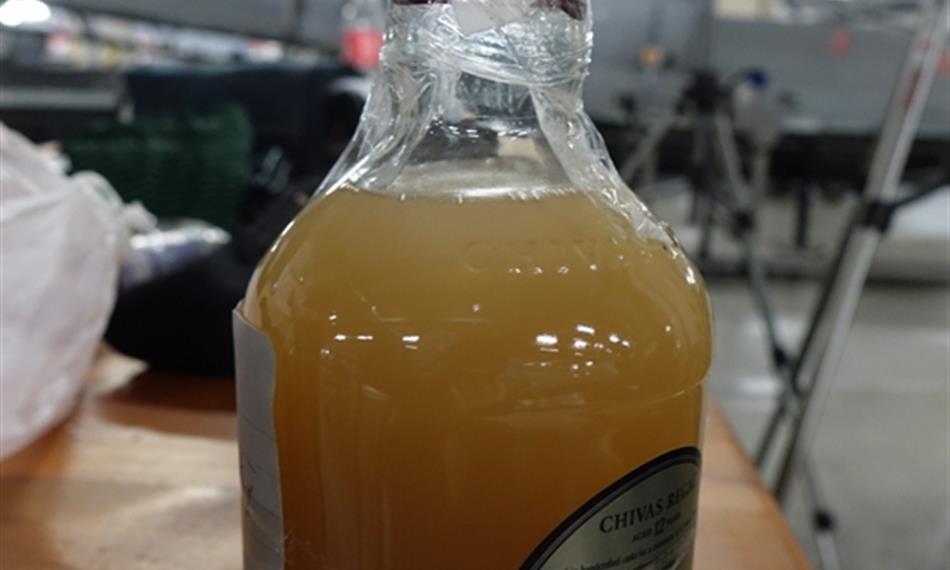 2016-3-9-114foto 2.JPG